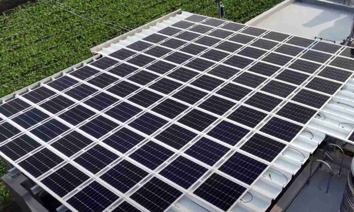 2121非凡SunSteel光电浪板升级双玻结构，，以提升机械负载强度及气候耐候度，，，可广泛运用于多元场域